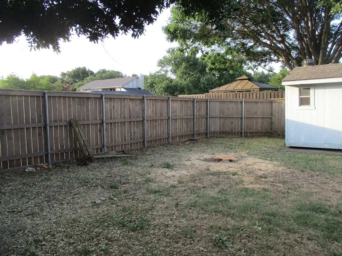 Cleared yard after professional tree removal in Anoka